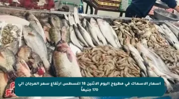 أسعار الأسماك في مطروح اليوم الإثنين 18 أغسطس ارتفاع سعر المرجان إلى 170 جنيهاً